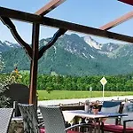 Alpenhof Otel 4*